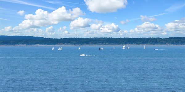 South Bellingham Real Estate Market Update