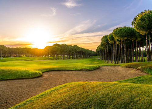 Golf course at sunset with beautiful sky and sand trap. Scenic panoramic view of golf fairway with bunker. Golf field with pines