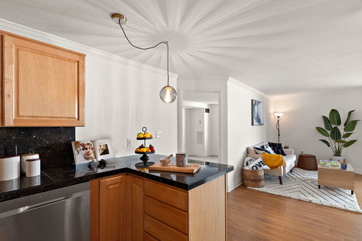 10-web-or-mls-601W11th_Ave_apt503_8