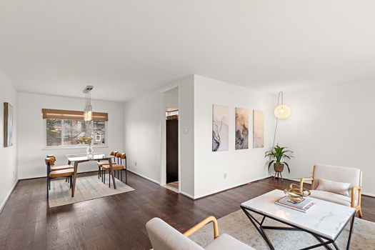 13-web-or-mls-DSC00874