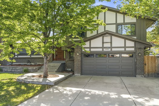 53-web-or-mls-DSC03350