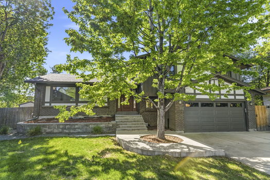 55-web-or-mls-DSC03356