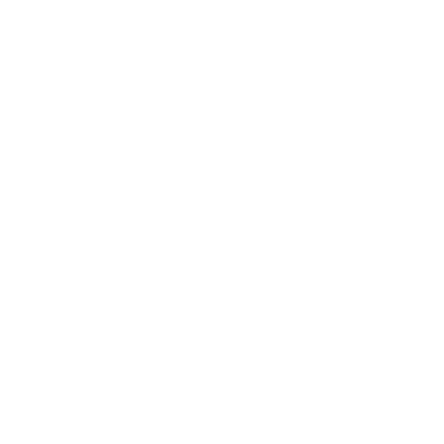 FinalTeam Logo for color background in white