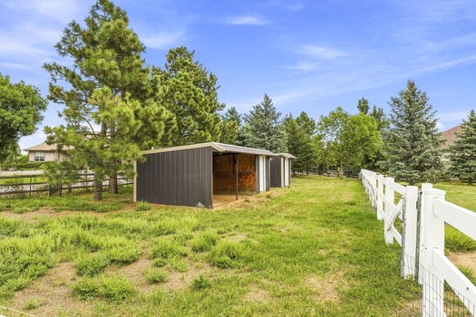 18-web-or-mls-DSC06536