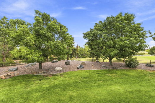 22-web-or-mls-DSC06497