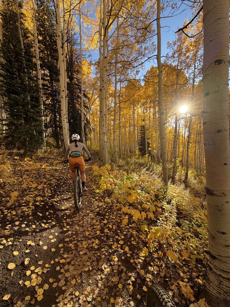 4C3F21A1-6D82-49BE-B04D-F094E61D8B1C_1_105_c