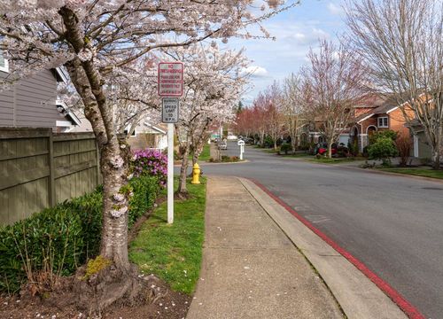 Neighborhood Spring blooms and homes in Kent Washington.