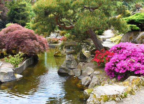 Highline SeaTac Botanical Garden, Washington, USA