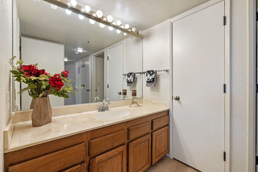 61-web-or-mls-DSC09732 (1)