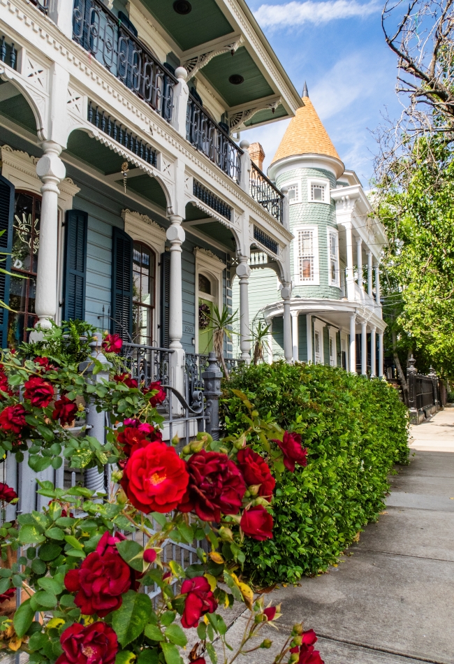 Red,Roses,And,Beautiful,Colorful,Houses,In,Garden,District,,New