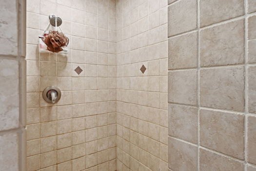 28-web-or-mls-9216OGD128