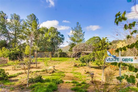 AF3FC2ED-23CA-452D-843C-EAEF8DA2E4A4