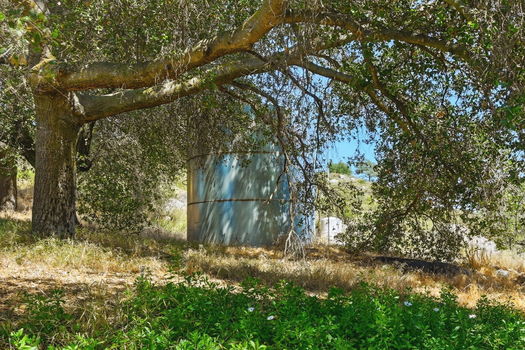 49-web-or-mls-19525CR149