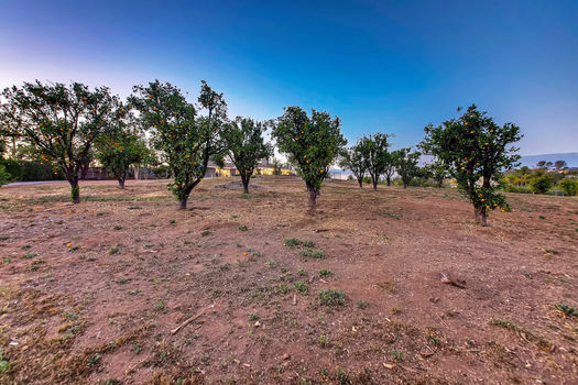31180 Moonlight Place Valley Center CA - Web Quality - 038 - 44 Lemon Grove