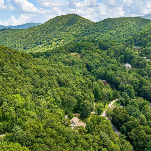 Spring in the Western North Carolina Mountains: A Season of Renewal