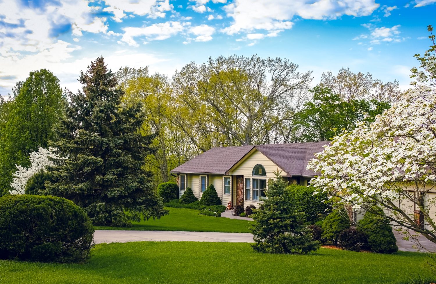 View of ranch style house in suburban neighborhood in Missouri, Midwest, on sunny spring day; blooming dogwood tree in foreground