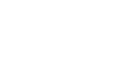 partner appraiser institute logo