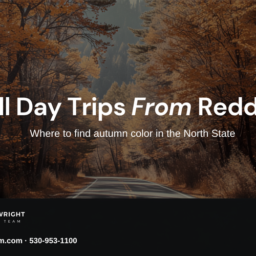 Fall Day Trips From Redding: Where to Find Autumn Color in the North State (2026)