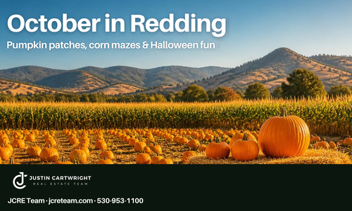 Pumpkin Patches, Corn Mazes & Halloween Fun: A …