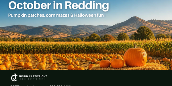 Pumpkin Patches, Corn Mazes & Halloween Fun: A &hellip;
