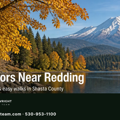 Fall Colors Near Redding: 6 Scenic Drives and Easy Walks to See Autumn Leaves in Shasta County (2026)