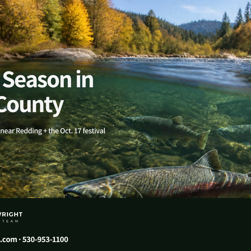 Salmon Season in Shasta County: Where to See the Fall Run Near Redding, Plus the October 17 Salmon Festival (2026)