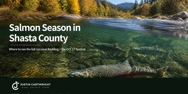 Salmon Season in Shasta County: Where to See &hellip;
