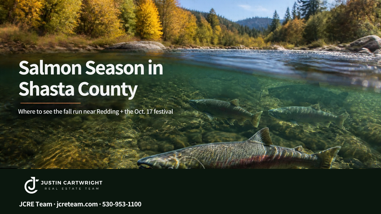 Chinook salmon swimming in a clear Northern California river with fall color, Salmon Season in Shasta County header from the JCRE Team