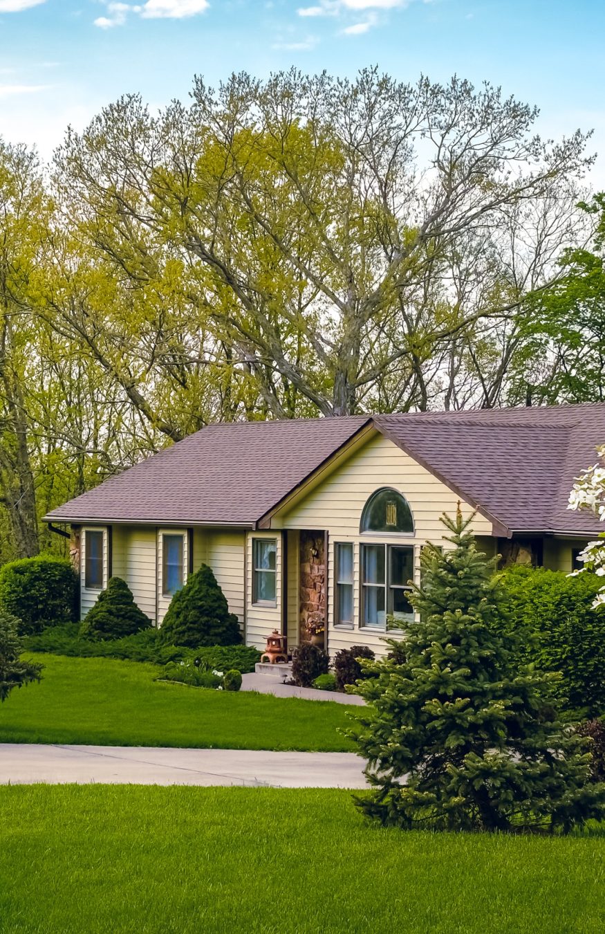View of ranch style house in suburban neighborhood in Missouri, Midwest, on sunny spring day; blooming dogwood tree in foreground (1)