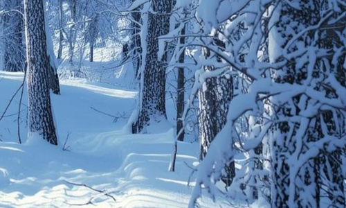 Why People Love Living in Slave Lake in the Winter