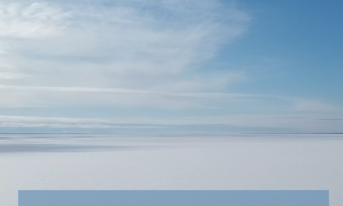 Sunday Reflection - Finding Calm in the Noise