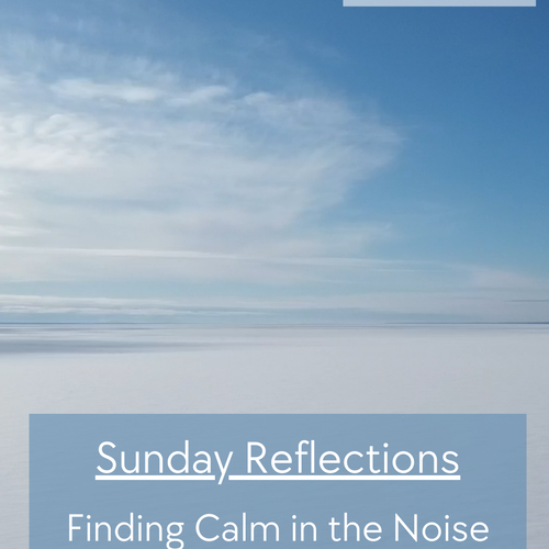 Sunday Reflection - Finding Calm in the Noise