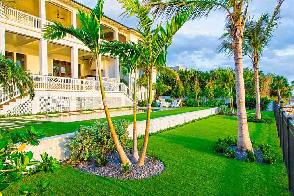 Green grass