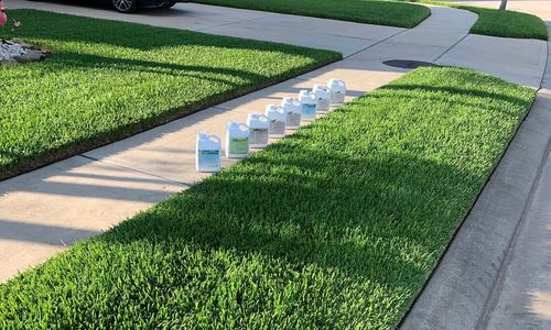 How to Keep St. Augustine Grass Green in …