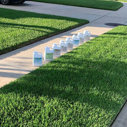 How to Keep St. Augustine Grass Green in Dallas-Fort Worth During Summer Heat
