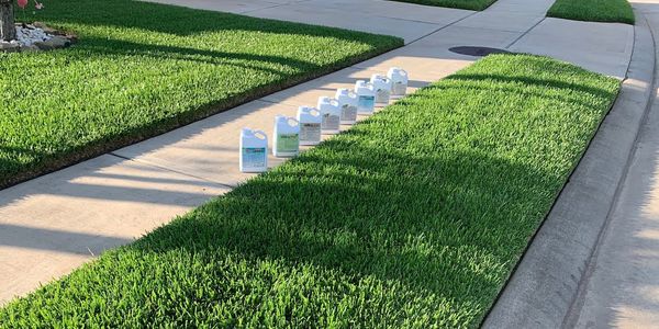 How to Keep St. Augustine Grass Green in &hellip;