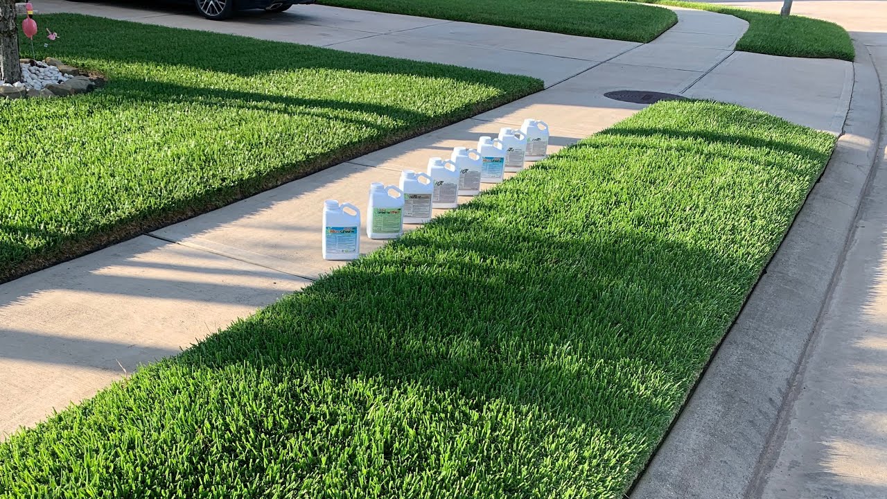 Lawn Image