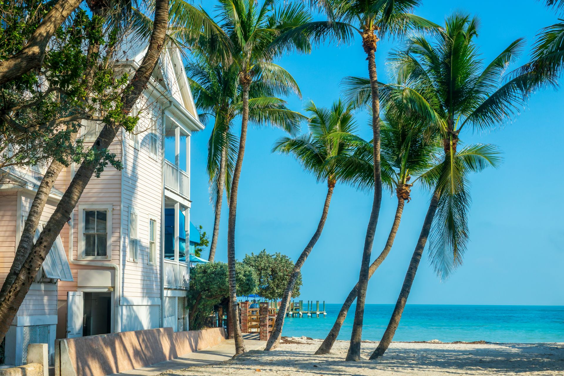 House with view on the ocean, palm trees on the beach, scenic landscape in Key West, Florida