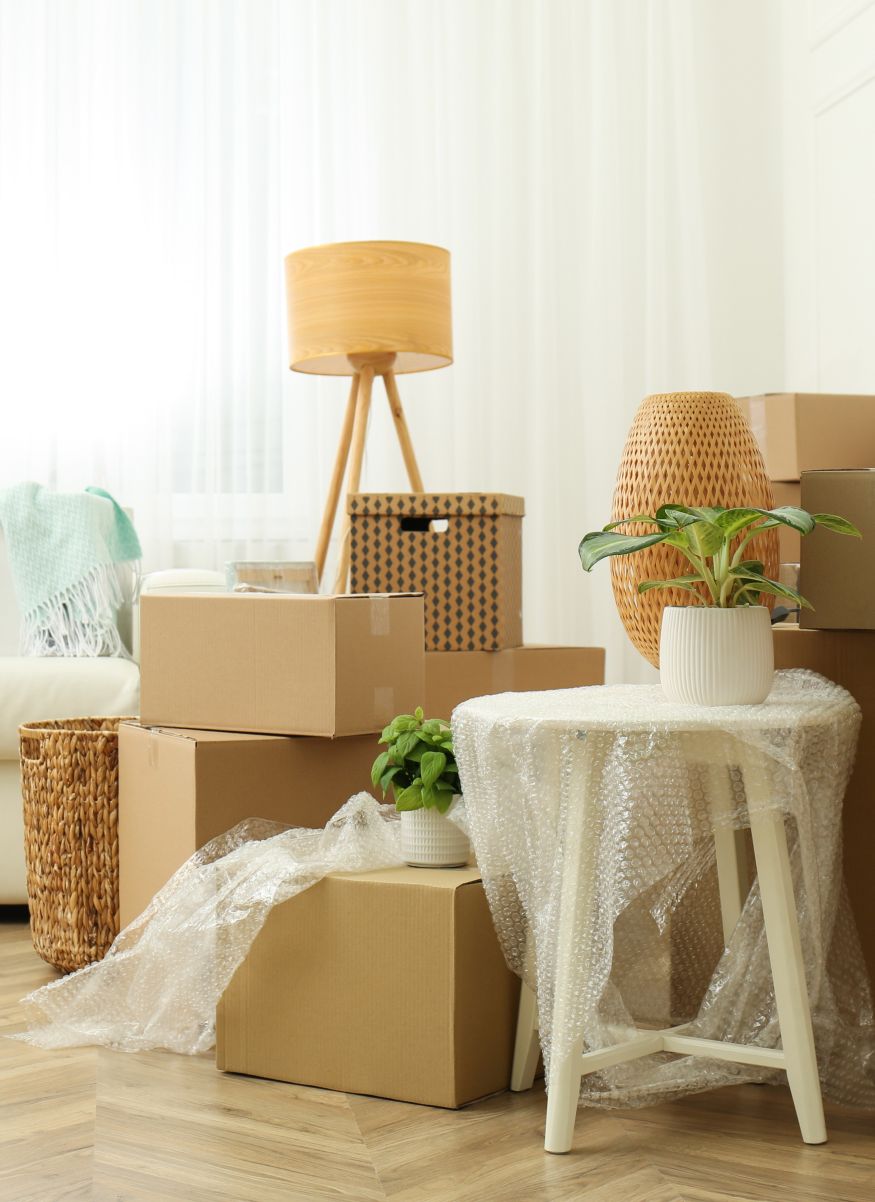 Cardboard boxes, potted plants and household stuff indoors. Moving day