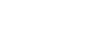 transparentlogowhite