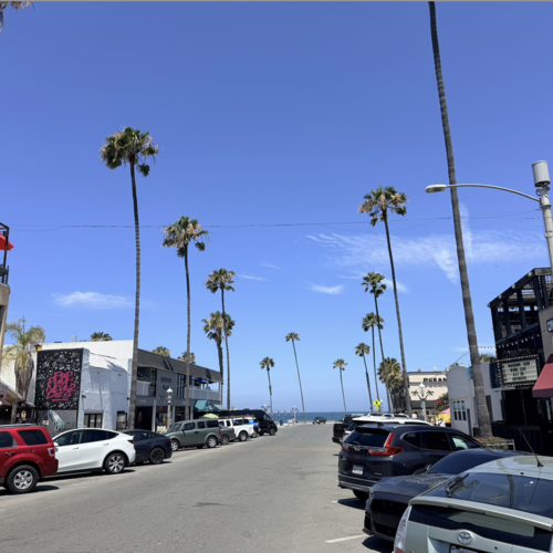Ocean Beach Community Guide 2026: Schools, Parks & Vibes