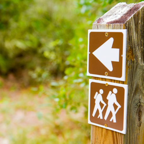 Cliffs of the Neuse State Park: 66 Million Years of History, Right Outside Goldsboro