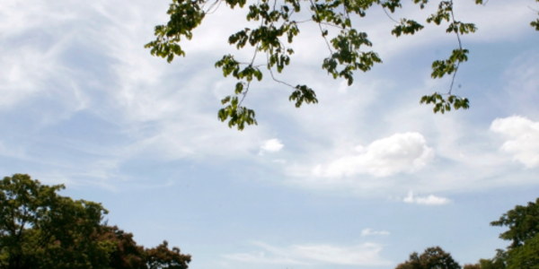 Already Own Land? Here's What That Actually Means &hellip;