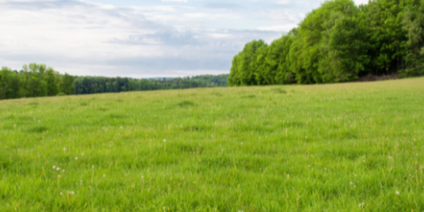 Don't Own Land? That Doesn't Mean You Can't &hellip;