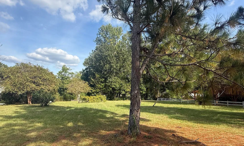 Your Lot Is Ready. Your Dream Home Is …