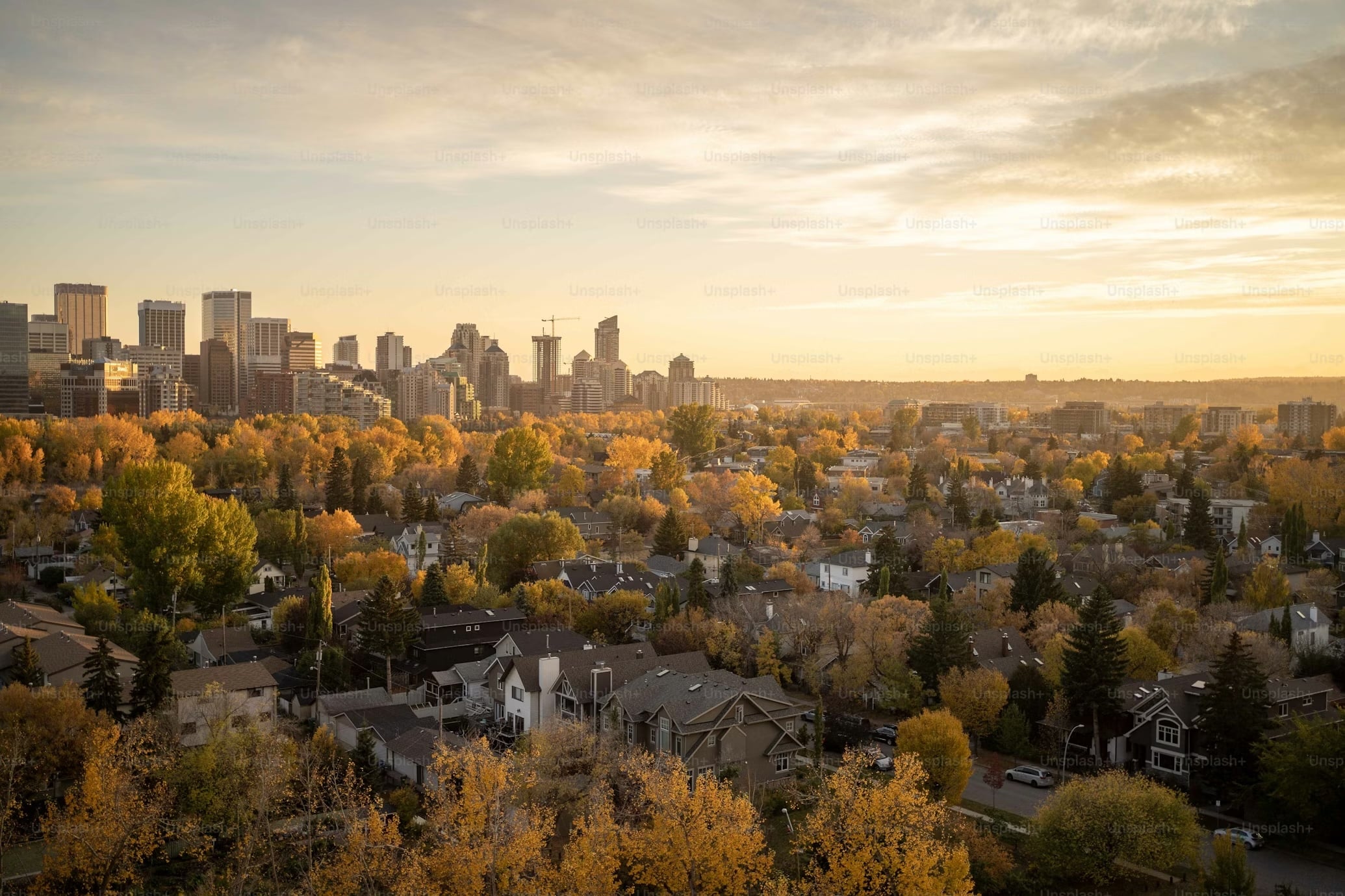 calgary-real-estate-market-update-march-2026-skyline