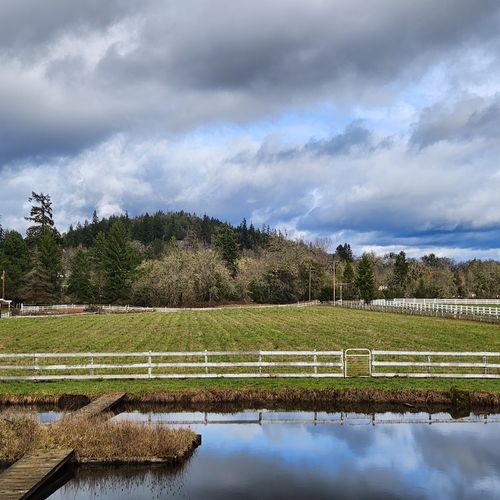 Advice for Out of Area Buyers Moving to Roseburg Oregon