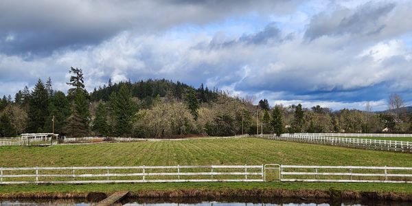 Advice for Out of Area Buyers Moving to &hellip;