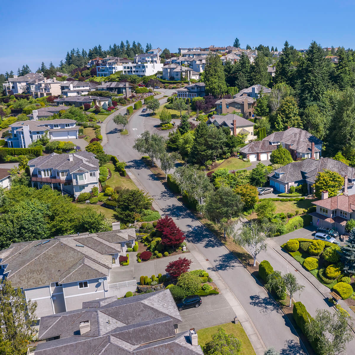 Expertise-in-the-Local-Market