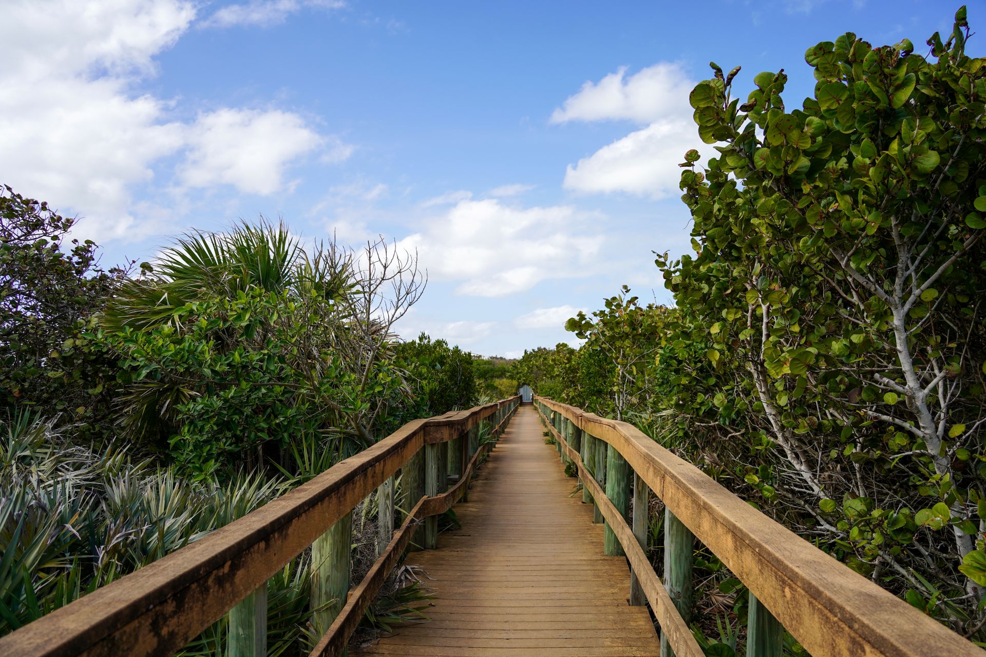 A scenic Florida nature trail.